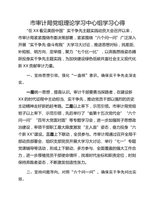 市审计局党组理论学习中心组学习心得