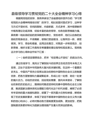 县级领导学习贯彻党的二十大全会精神学习心得
