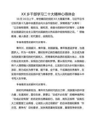 XX乡干部学习二十大精神心得体会