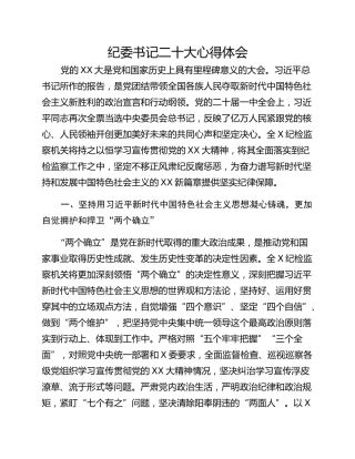纪委书记二十大心得体会