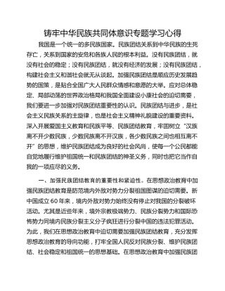 铸牢中华民族共同体意识专题学习心得