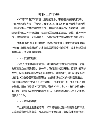 挂职工作心得