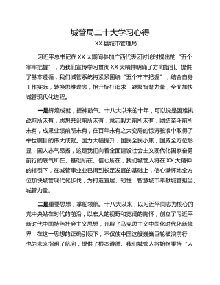 城管局二十大学习心得