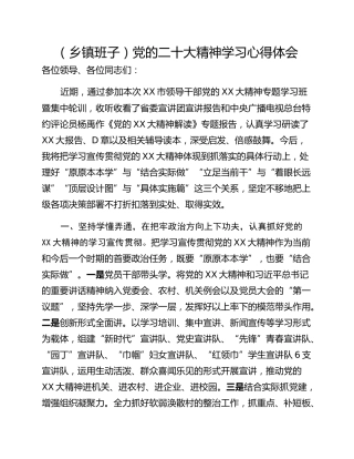 （乡镇班子）党的二十大精神学习心得体会