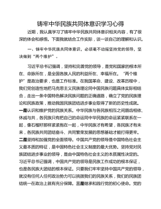 铸牢中华民族共同体意识学习心得