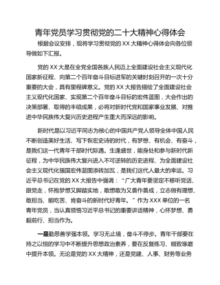 青年党员学习贯彻党的二十大精神心得体会