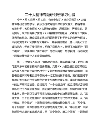 二十大精神专题研讨班学习心得