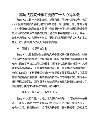 基层法院院长学习党的二十大心得体会