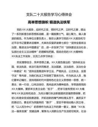 支队二十大报告学习心得体会