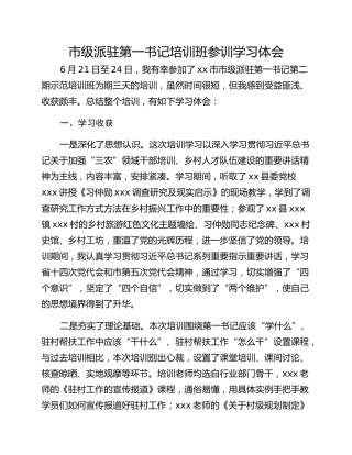 市级派驻第一书记培训班参训学习体会