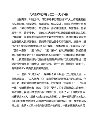 乡镇党委书记二十大心得