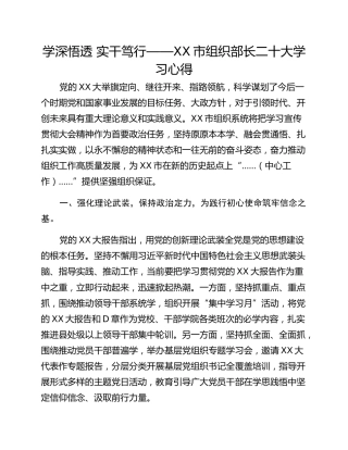 学深悟透 实干笃行——XX市组织部长二十大学习心得
