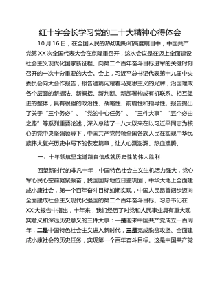 红十字会长学习党的二十大精神心得体会