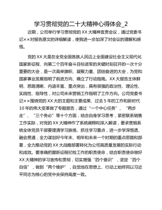 学习贯彻党的二十大精神心得体会_2