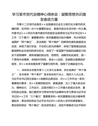 学习某市党代会精神心得体会：凝聚思想共识激发奋进力量 (2)