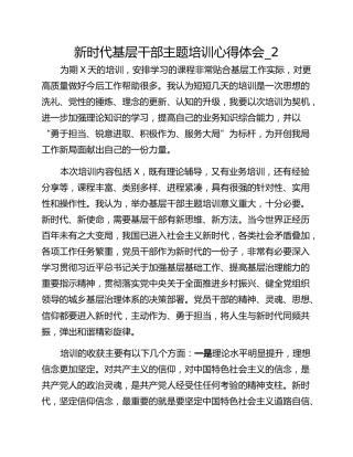 新时代基层干部主题培训心得体会_2