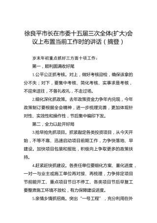 徐良平：在市委十五届三次全体(扩大)会议上布置当前工作时的讲话（摘登）