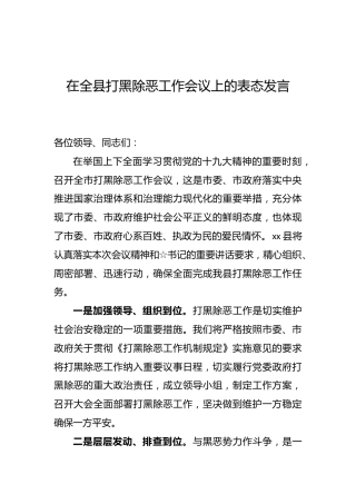 在全县打黑除恶工作会议上的表态发言