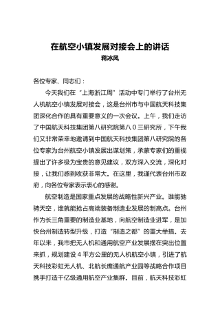 蒋冰风：在航空小镇发展对接会上的讲话