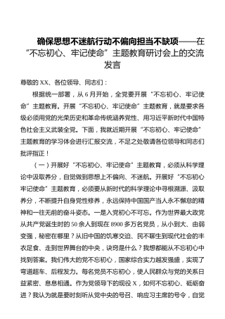 确保思想不迷航行动不偏向担当不缺项——在“不忘初心、牢记使命”主题教育研讨会上的交流发言_