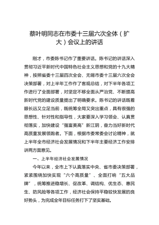 蔡叶明：在市委十三届六次全体（扩大）会议上的讲话