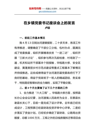 卢琼：在乡镇党委书记座谈会上的发言