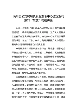 张晋：中心城区烟花爆竹“禁放”电视讲话摘要