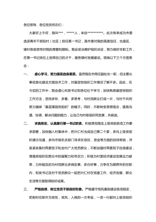 第一书记表态发言