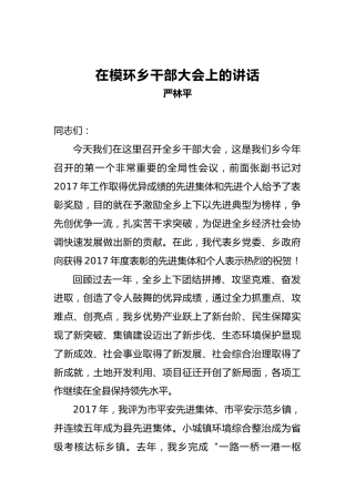 严林平：在模环乡干部大会上的讲话