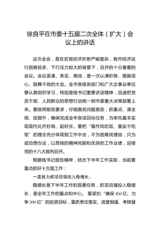 徐良平：在市委十五届二次全体（扩大）会议上的讲话