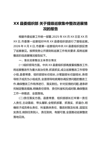 XX县委组织部关于提级巡察集中整改进展情况的报告