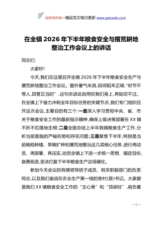 在全镇2026年下半年粮食安全与撂荒耕地整治工作会议上的讲话