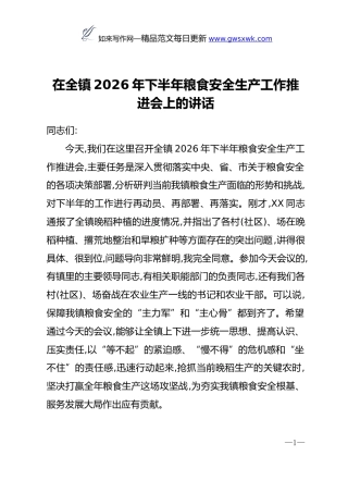 在全镇2026年下半年粮食安全生产工作推进会上的讲话