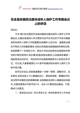 在全县命案防治暨未成年人保护工作专题会议上的讲话