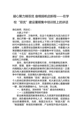 凝心聚力铸双优奋楫扬帆启新程——在学校“双优”建设暑期集中培训班上的讲话