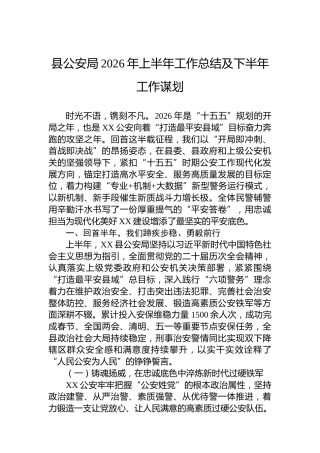 县公安局2026年上半年工作总结及下半年工作谋划