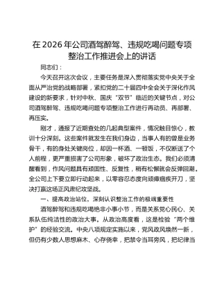 在2026年公司酒驾醉驾、违规吃喝问题专项整治工作推进会上的讲话