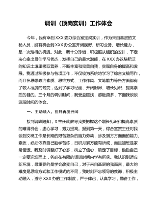 调训（顶岗实训）工作体会