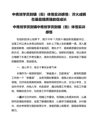 中青班学员到镇（街）体悟实训感悟：淬火成钢在基层提质强能促成长