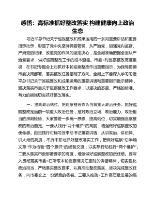 感悟：高标准抓好整改落实 构建健康向上政治生态