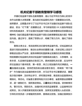 机关纪委干部教育整顿学习感悟