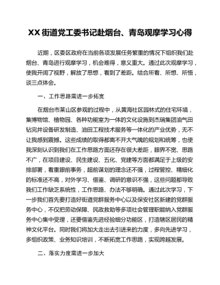 XX街道党工委书记赴烟台、青岛观摩学习心得