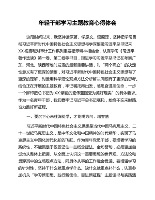 年轻干部学习主题教育心得体会