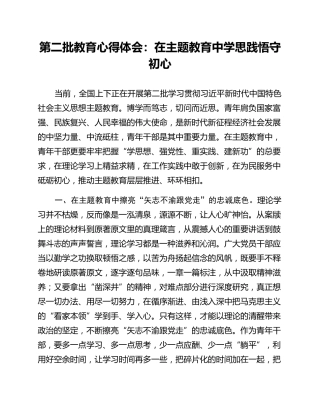 第二批教育心得体会：在主题教育中学思践悟守初心