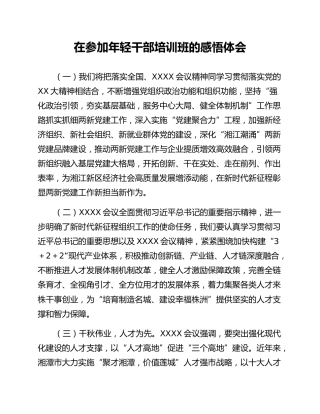 在参加年轻干部培训班的感悟体会
