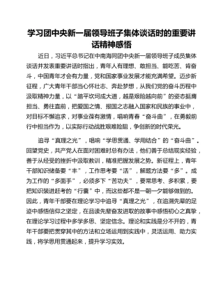 学习团中央新一届领导班子集体谈话时的重要讲话精神感悟