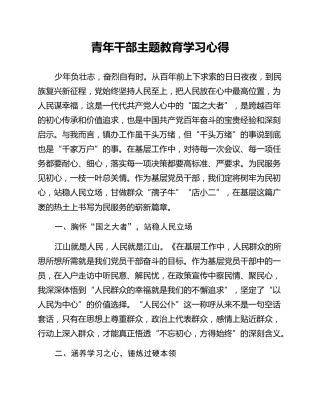 青年干部主题教育学习心得
