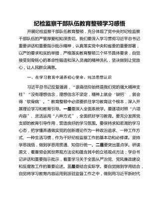 纪检监察干部队伍教育整顿学习感悟 (2)