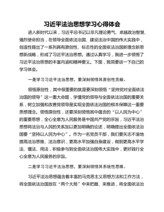 习近平法治思想学习心得体会 (2)