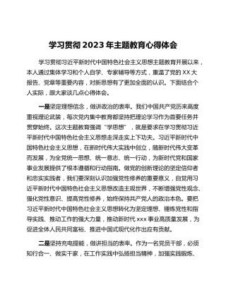 学习贯彻2023年主题教育心得体会 (3)_2